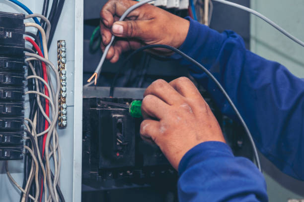 Best Electric Panel Repair  in Tuscoosa, AL